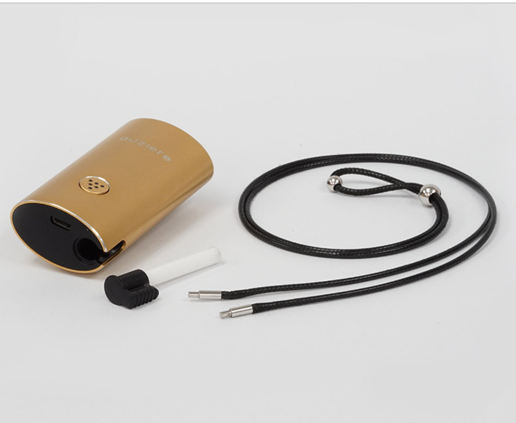 隨身迷你負離子空氣淨化機 2.0-金色 Nomad Air Purifier 2.0 -Gold